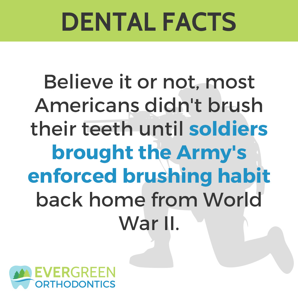 dental facts
